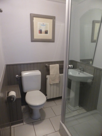 downstairs loo in Loire Valley vacation rental in Barrou